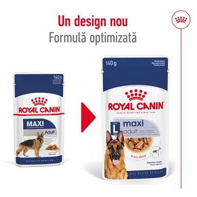 Royal Canin Maxi Adult 140g, ambalaj vechi și nou prezentate. Text: Un design nou, formulă optimizată. Imagine cu câine ciobănesc german pe ambele pachete.