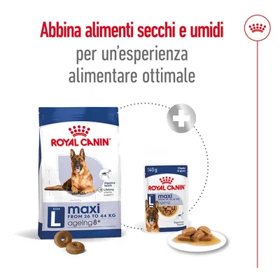 Abbina alimenti secchi e umidi per un’esperienza alimentare ottimale. Royal Canin maxi ageing 8+ L da 26 a 44 kg, crocchette e cibo umido visibili.
