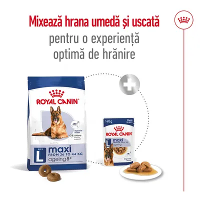Mixează hrana umedă și uscată pentru o experiență optimă de hrănire. Royal Canin Maxi Ageing 8+ L, de la 26 la 44 kg, hrană uscată și umedă pentru câini, pachet vizibil.