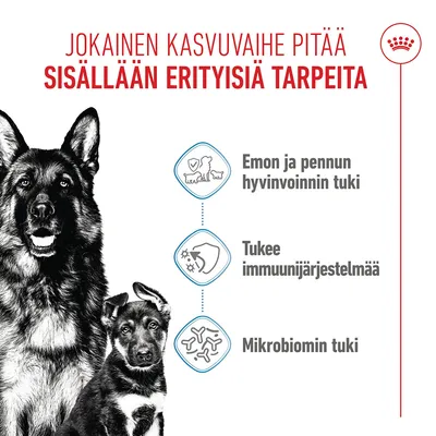 Royal Canin Maxi Starter Mother & Babydog Royal Canin Maxi Starter Mother & Babydog