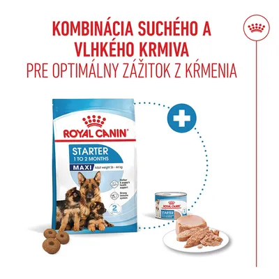 Royal Canin Maxi Starter Mother & Babydog