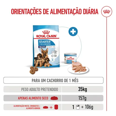 Royal Canin Maxi Starter Mother & Babydog