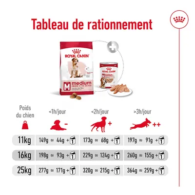 Tableau de rationnement Royal Canin Medium Adult : quantités croquettes et pâtée pour chiens de 11 kg, 16 kg, 25 kg selon activité <1h, <2h ou >3h/jour. Doses en grammes visibles.