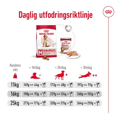 Daglig utfodringsriktlinje för Royal Canin Medium Adult 11–25 kg: tabell med mängder torr- och våtfoder per hundvikt (11, 16, 25 kg) och aktivitetsnivå (<1h, <2h, >3h/dag).
