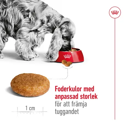 Hund äter ur röd matskål, foderkulor visas med text: Foderkulor med anpassad storlek för att främja tuggandet. En kula mäts till 1 cm i diameter.