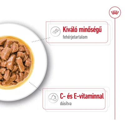 Kiváló minőségű fehérjetartalom, C- és E-vitaminnal dúsítva – látható szöveg egy tál nedves állateledel mellett.