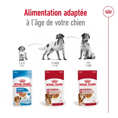 Trois sachets Royal Canin : Puppy 2 à 12 mois, Medium Adult 12 mois à 7 ans, Medium Ageing après 7 ans. Illustration de chiens correspondant à chaque tranche d’âge.