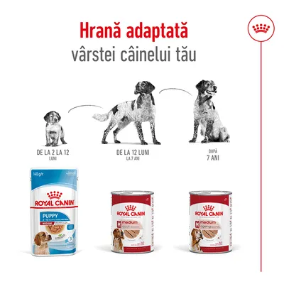 Hrana adaptată vârstei câinelui tău. Royal Canin Puppy 2–12 luni, Medium Adult 12 luni–7 ani, Medium Ageing după 7 ani. Imagine cu trei tipuri de hrană și etape de vârstă pentru câini.