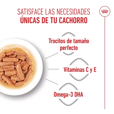 Royal Canin Medium Puppy en salsa Royal Canin Medium Puppy en salsa