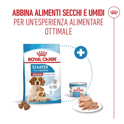 Royal Canin Medium Starter Mother & Babydog Crocchette per cane Royal Canin Medium Starter Mother & Babydog Crocchette per cane