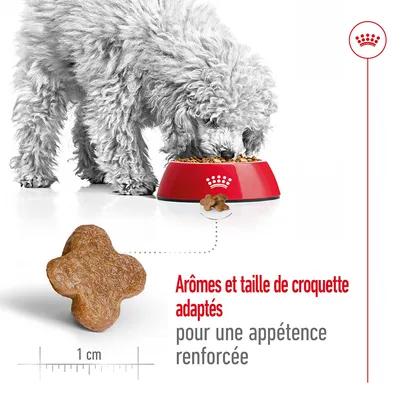 Chien mangeant des croquettes dans une gamelle rouge Royal Canin, croquette en forme de croix mesurant 1 cm. Texte : Arômes et taille de croquette adaptés pour une appétence renforcée.