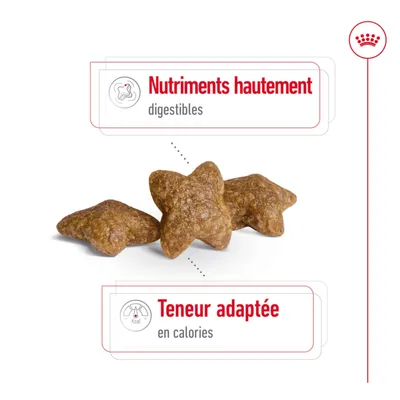 Trois croquettes en forme d’étoile, Texte : Nutriments hautement digestibles, teneur en calories adaptée. Trois croquettes en forme d’étoile, Texte : Nutriments hautement digestibles, teneur en calories adaptée.