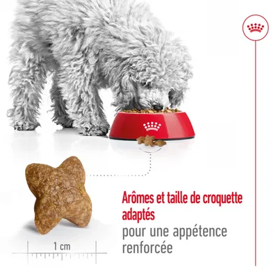 Chien mangeant dans une gamelle, à côté une croquette avec une règle et le texte : Arômes et taille de croquette adaptés pour une appétence renforcée. Chien mangeant dans une gamelle, à côté une croquette avec une règle et le texte : Arômes et taille de croquette adaptés pour une appétence renforcée.