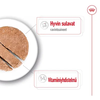 Hyvin sulavat ravintoaineet, vitamiininyhdistelmä. Kuvassa viipaloitua ruskeaa massaa lautasella.