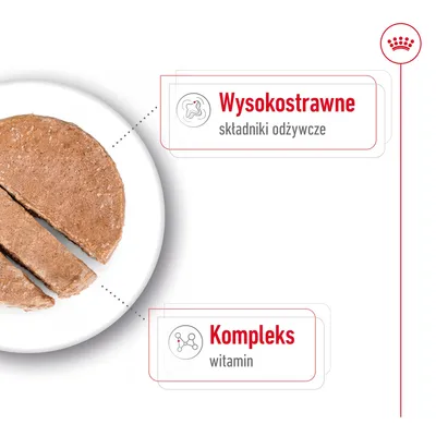 Wysokostrawne składniki odżywcze, kompleks witamin – tekst na grafice obok kawałków karmy na białym talerzu.