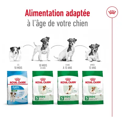 Alimentation adaptée à l’âge du chien : Royal Canin Puppy 2–10 mois, Mini Adult 10 mois–8 ans, Mini Adult 8+ 8–12 ans, Mini Ageing 12+ après 12 ans. Sacs visibles sous chaque étape.