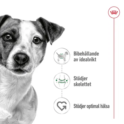 Tre ikoner med text: Bibehållande av idealvikt, Stödjer skelettet, Stödjer optimal hälsa. Royal Canin-symbol upptill till höger.
