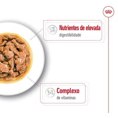 Prato com comida húmida castanha. Texto visível: 'Nutrientes de elevada digestibilidade' e 'Complexo de vitaminas'.