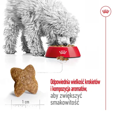 Pies jedzący z czerwonej miski Royal Canin, powiększony krokiet o wielkości 1 cm. Tekst: Odpowiednia wielkość krokietów i kompozycja aromatów, aby zwiększyć smakowitość.