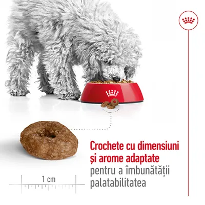 Câine mâncând din bol roșu Royal Canin, crochetă rotundă de 1 cm și text: Crochete cu dimensiuni și arome adaptate pentru a îmbunătăți palatabilitatea.