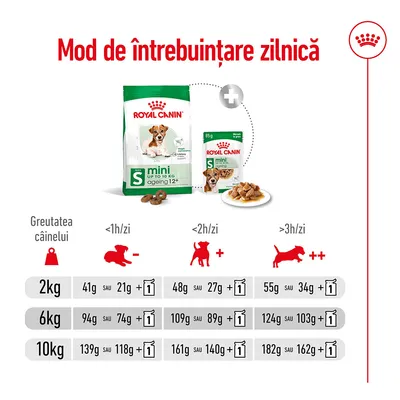 Tabel mod de întrebuințare zilnică Royal Canin Mini Ageing 12+: doze recomandate pentru câini de 2 kg, 6 kg și 10 kg, în funcție de activitate și combinații hrană uscată/umedă.