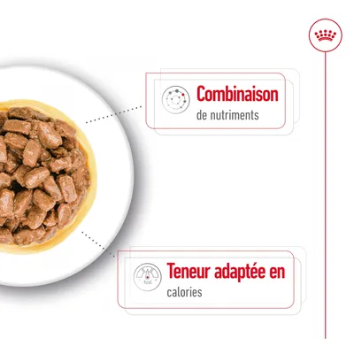 Assiette de bouchées en sauce, texte visible : Combinaison de nutriments, Teneur adaptée en calories. Icônes associées à chaque mention.