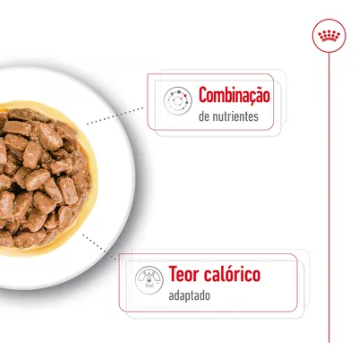 Comida húmida em molho num prato branco. Texto visível: 'Combinação de nutrientes' e 'Teor calórico adaptado'.