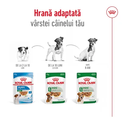 Royal Canin Puppy 2–10 luni, Mini Adult 10 luni–8 ani, Mini Ageing după 8 ani, plicuri 85g. Hrană adaptată vârstei câinelui tău, cu imagini de câini pentru fiecare etapă.