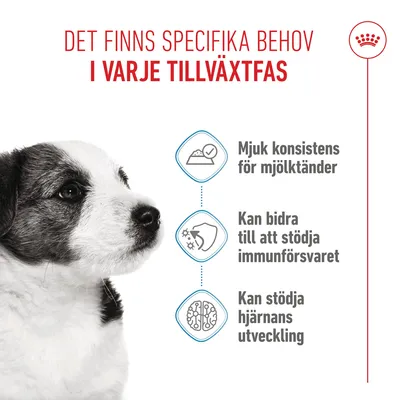 Royal Canin Mini Puppy i sås