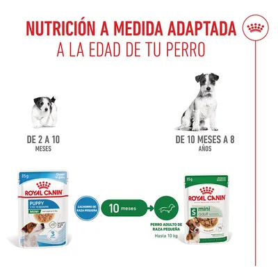 Royal Canin Mini Puppy en salsa Royal Canin Mini Puppy en salsa