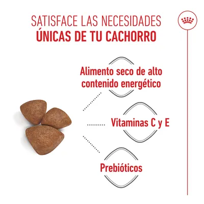 Royal Canin Mini Starter Mother & Babydog