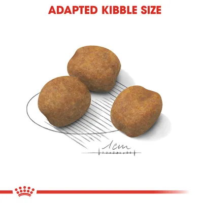 Kolme koiranruokanappulaa, joiden koko verrattu viivastoon; mitta 1 cm näkyvissä. Ylhäällä englanninkielinen teksti: ADAPTED KIBBLE SIZE.