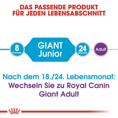 Text på tyska: Das passende Produkt für jeden Lebensabschnitt. GIANT Junior, 8 Monate, 24 Monate Adult. Nach dem 18./24. Lebensmonat: Wechseln Sie zu Royal Canin Giant Adult.