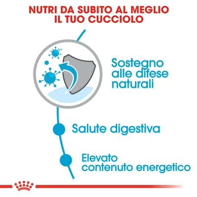Nutri da subito al meglio il tuo cucciolo. Sostegno alle difese naturali, salute digestiva, elevato contenuto energetico.
