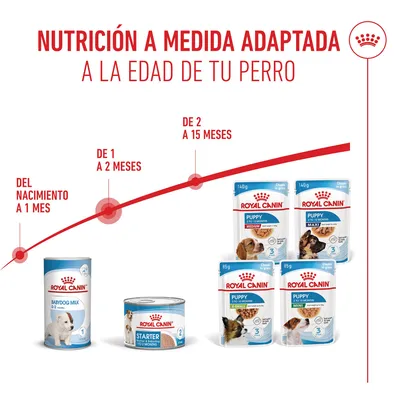 Royal Canin Starter Mousse Mother & Babydog