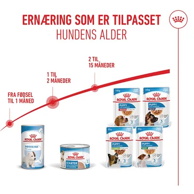 Royal Canin Starter Mother & Babydog Ultra Soft Mousse Royal Canin Starter Mother & Babydog Ultra Soft Mousse