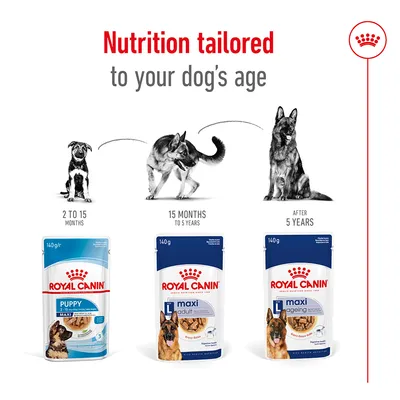 Three Royal Canin dog food pouches for different life stages: puppy (2 to 15 months), adult (15 months to 5 years), and ageing (after 5 years). Nutrition tailored to age.