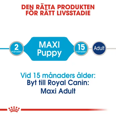 MAXI Puppy för hundar 2–15 månader. Vid 15 månaders ålder: Byt till Royal Canin Maxi Adult. Text: Den rätta produkten för rätt livsstadie.