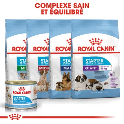 Gamme Royal Canin Starter Mother & Babydog : sacs Medium, Maxi, Giant 45 kg et boîte pâtée. Texte visible : Complexe sain et équilibré.