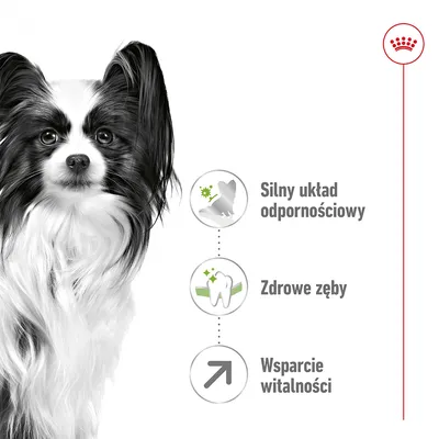 Silny układ odpornościowy, zdrowe zęby, wsparcie witalności – trzy cechy przedstawione obok czarno-białego psa oraz logo Royal Canin w prawym górnym rogu.