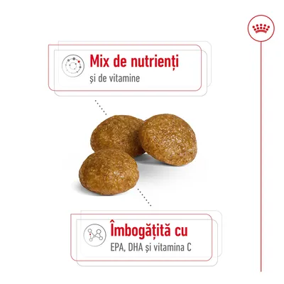 Trei crochete rotunde, text vizibil: Mix de nutrienți și de vitamine. Îmbogățită cu EPA, DHA și vitamina C.