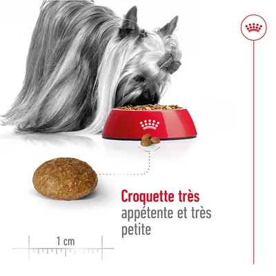 Chien mangeant des croquettes dans une gamelle rouge Royal Canin, gros plan sur une croquette de 1 cm avec texte : Croquette très appétente et très petite.