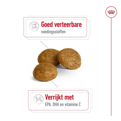 Drie brokken met tekst: Goed verteerbare voedingsstoffen. Verrijkt met EPA, DHA en vitamine C.