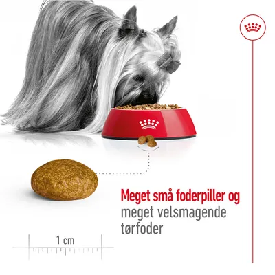 Hund spiser tørfoder fra rød skål med krone-symbol. Nærbillede af foderpille, ca. 1 cm. Tekst: Meget små foderpiller og meget velsmagende tørfoder.