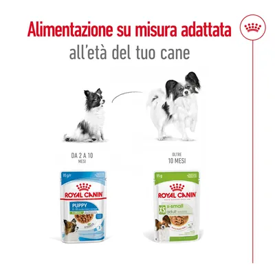 Alimentazione su misura adattata all’età del tuo cane. Royal Canin Puppy 2–10 mesi e Royal Canin XS Adult oltre 10 mesi, confezioni da 85 g con immagini di cani piccoli.