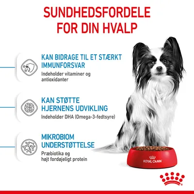 Sundhedsfordele for din hvalp: stærkt immunforsvar med vitaminer og antioxidanter, støtte til hjernens udvikling med DHA, mikrobiom understøttelse med præbiotika og fordøjeligt protein.