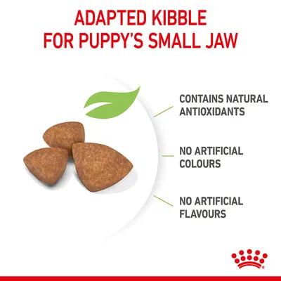 Adapted kibble for puppy’s small jaw. Contains natural antioxidants, no artificial colours, no artificial flavours. Three pieces of brown kibble shown.