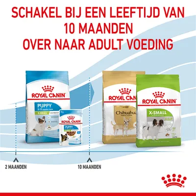 Schakel bij een leeftijd van 10 maanden over naar adult voeding. Royal Canin Puppy X-Small 2–10 maanden, daarna Royal Canin Adult Chihuahua en X-Small Adult.