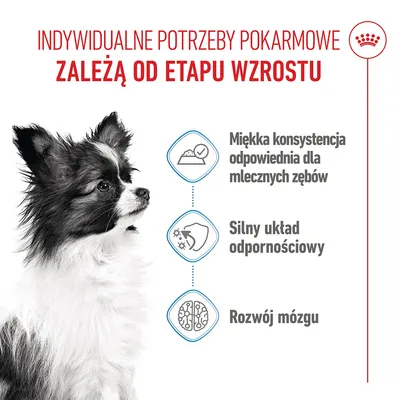 Royal Canin X-Small Puppy w sosie