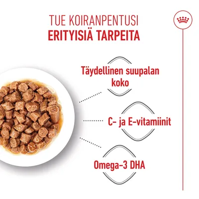 Royal Canin X-Small Puppy kastikkeessa Royal Canin X-Small Puppy kastikkeessa